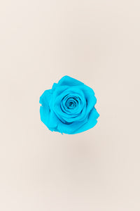 Bright Turquoise
