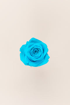 Bright Turquoise