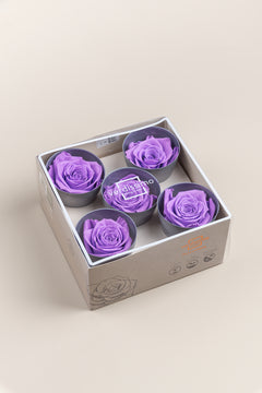 Bright Lilac