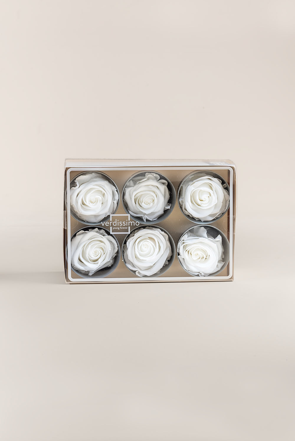 Rose Standard - Box 6 heads