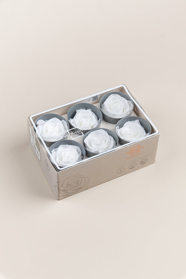Rose Standard - Box 6 heads