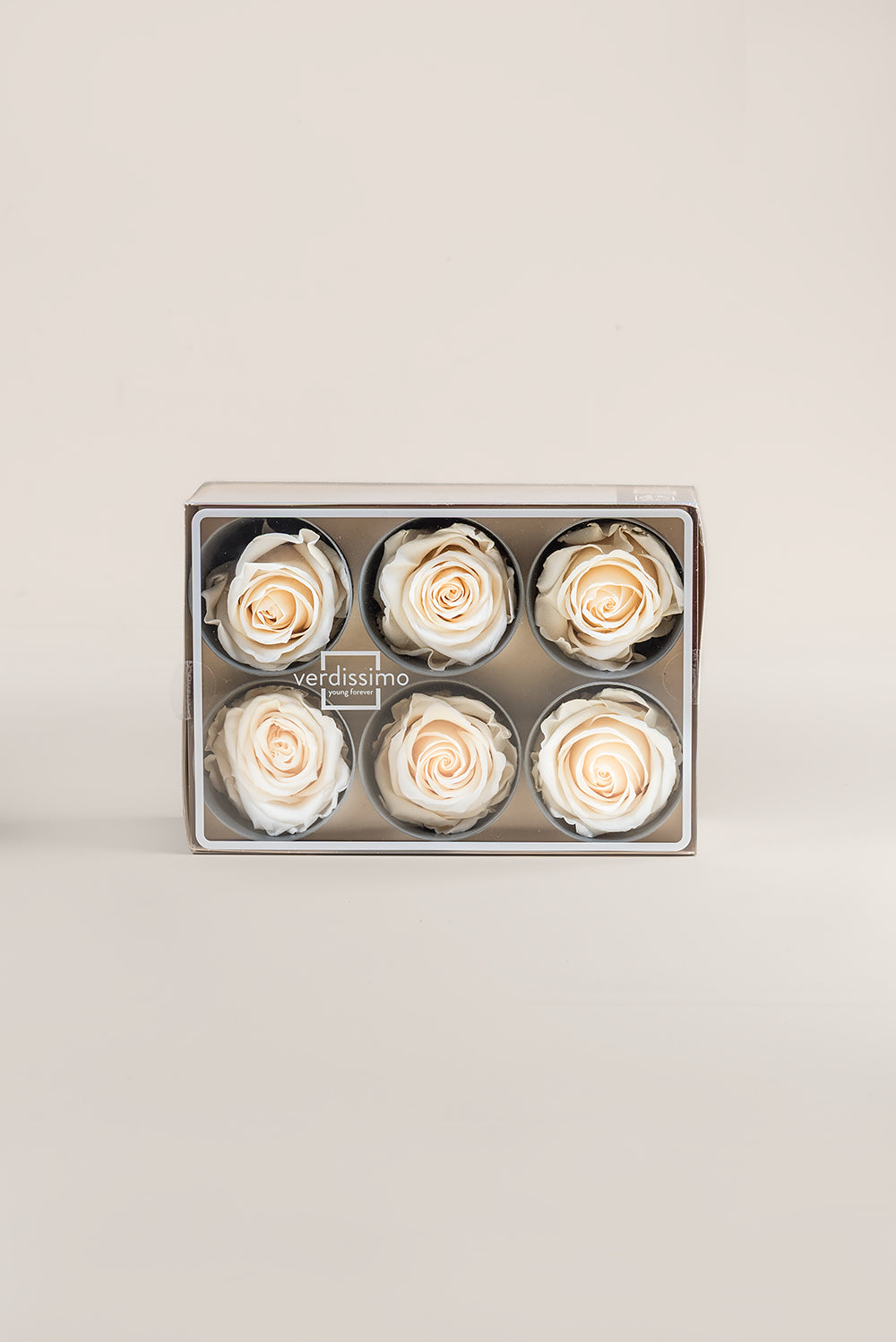 Rose Standard - Box 6 heads