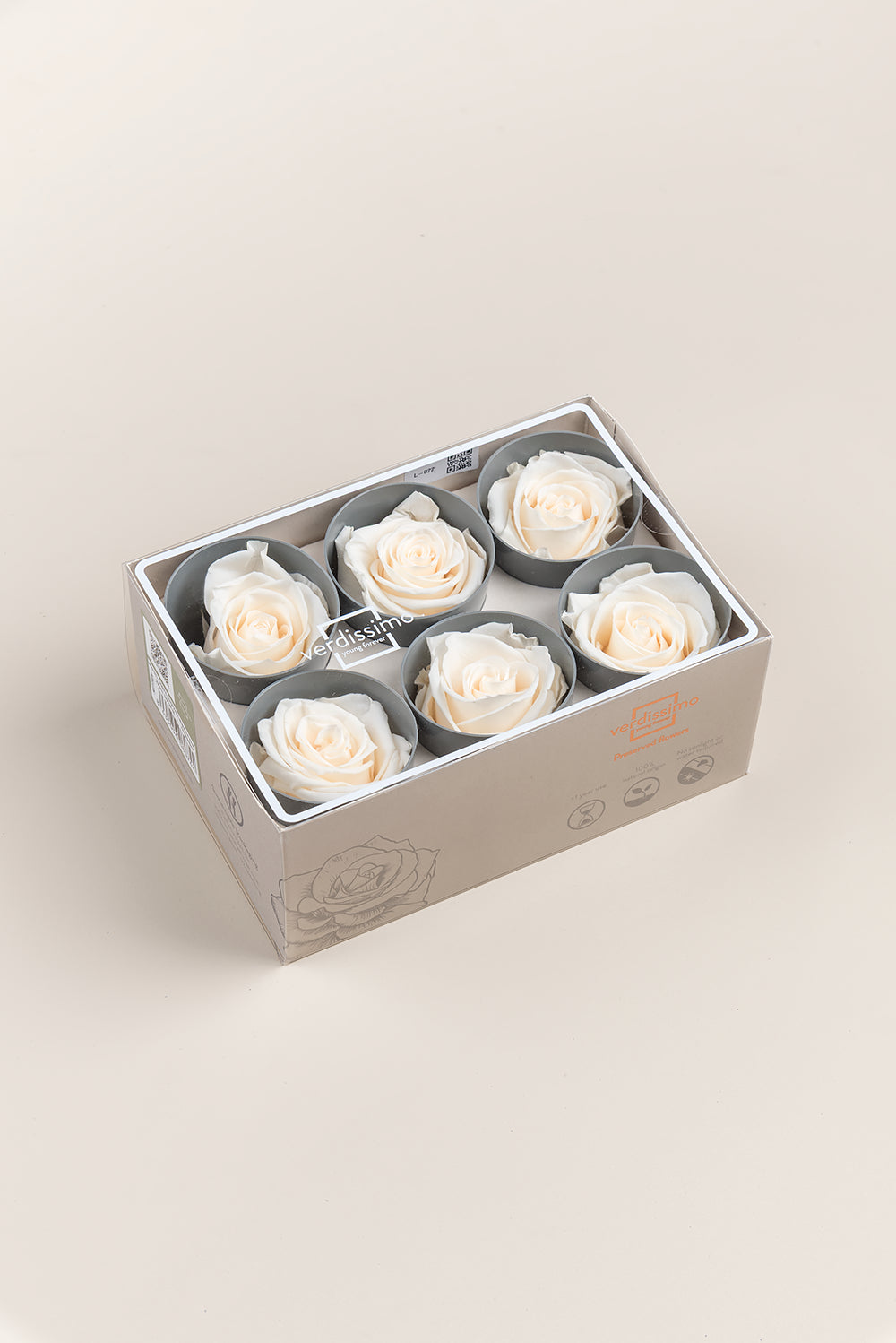 Rose Standard - Box 6 heads