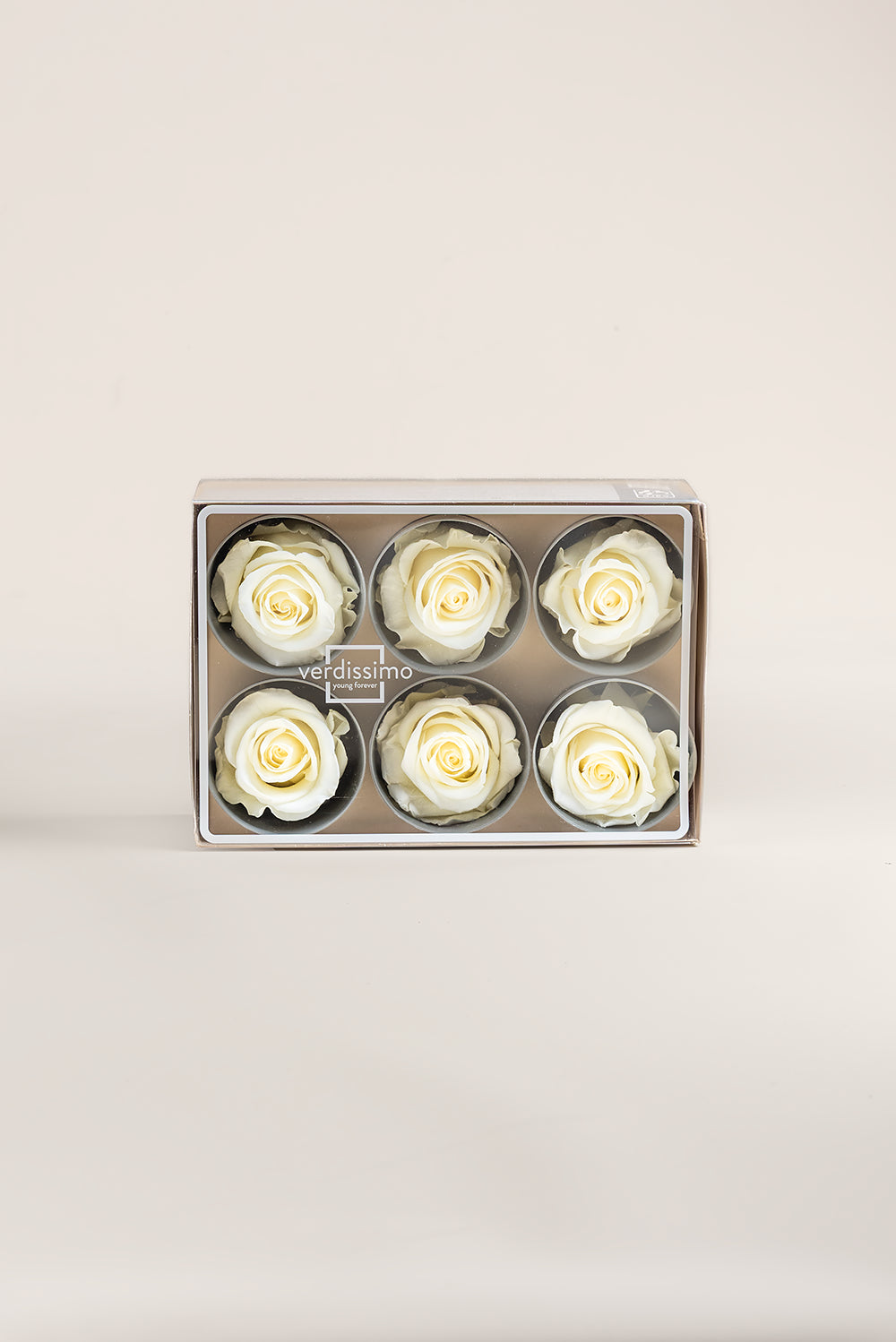 Rose Standard - Box 6 heads