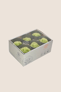 Citrus Green