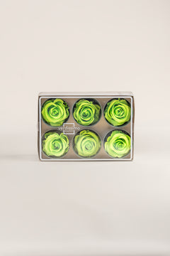 Lime Green