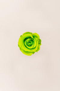 Lime Green