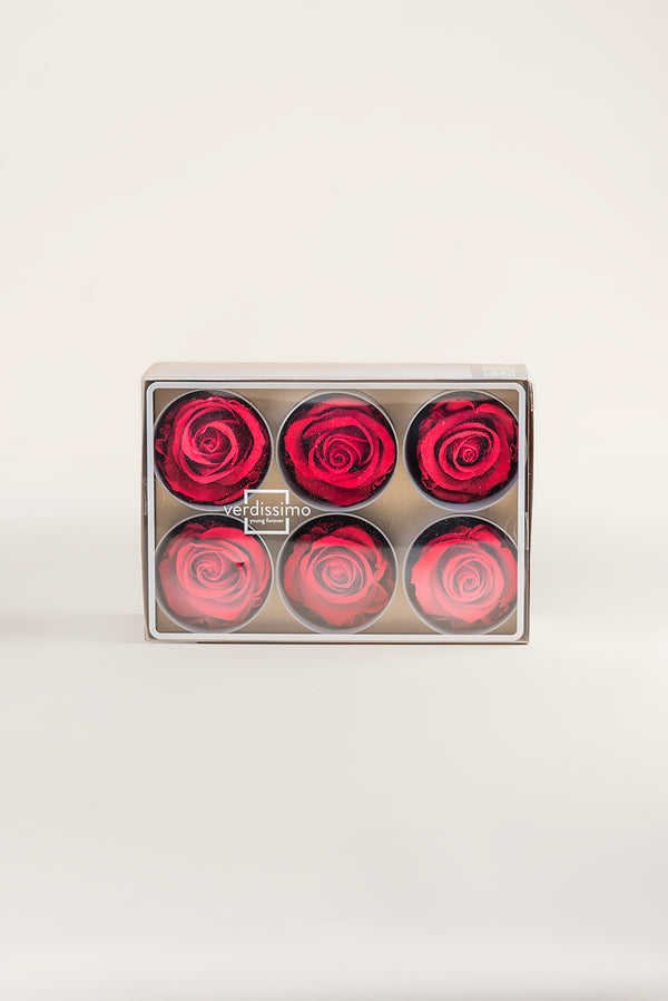 Rose Standard - Box 6 heads