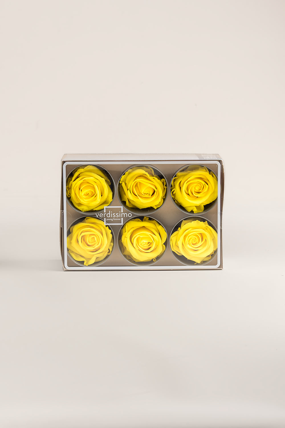 Rose Standard - Box 6 heads