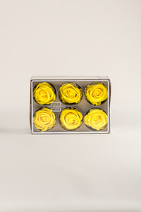 Bright Yellow