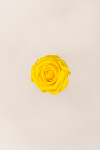 Bright Yellow