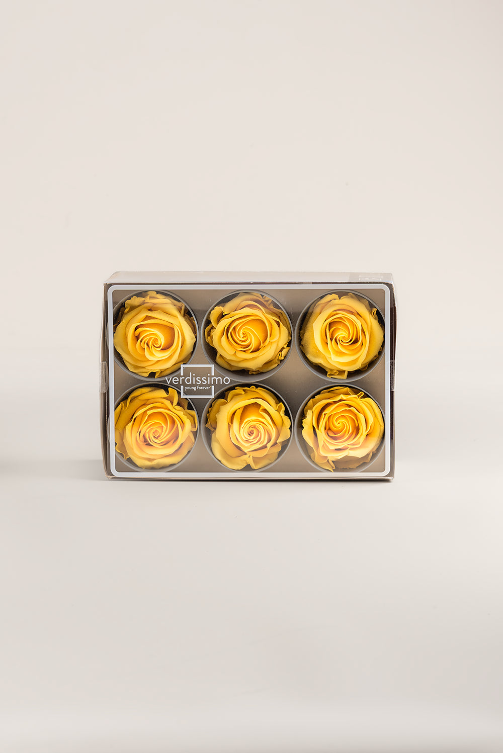 Rose Standard - Box 6 heads