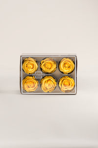 Warm Yellow