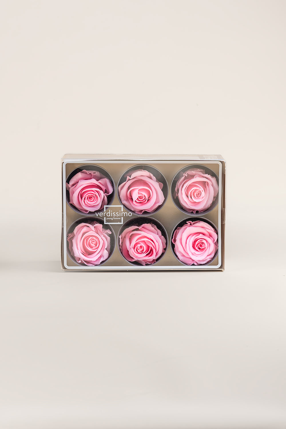 Rose Standard - Box 6 heads