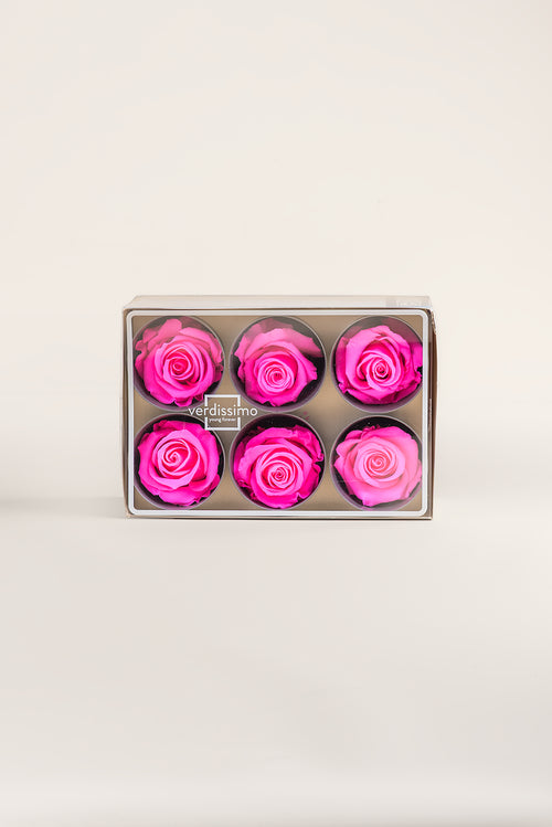 Rose Standard - Box 6 heads
