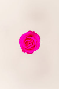 Bright Pink