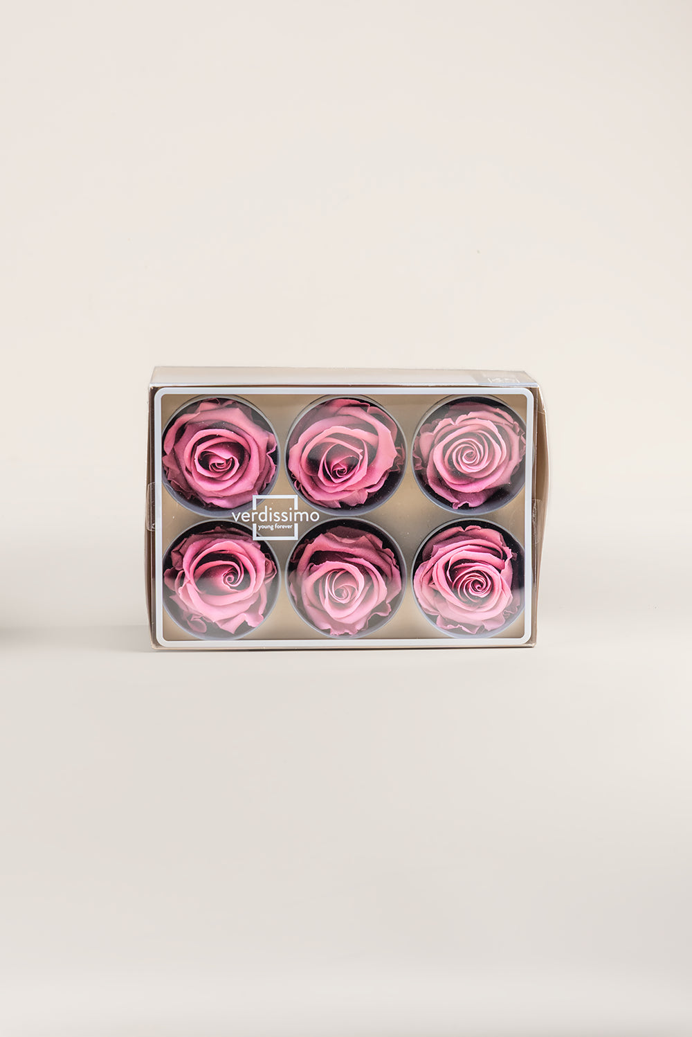 Rose Standard - Box 6 heads