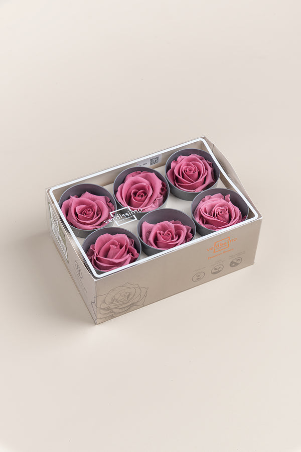 Rose Standard - Box 6 heads