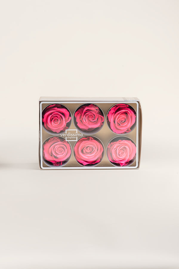 Rose Standard - Box 6 heads