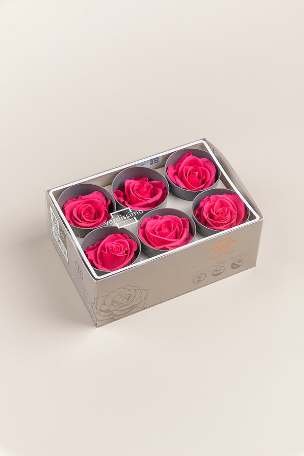Rose Standard - Box 6 heads