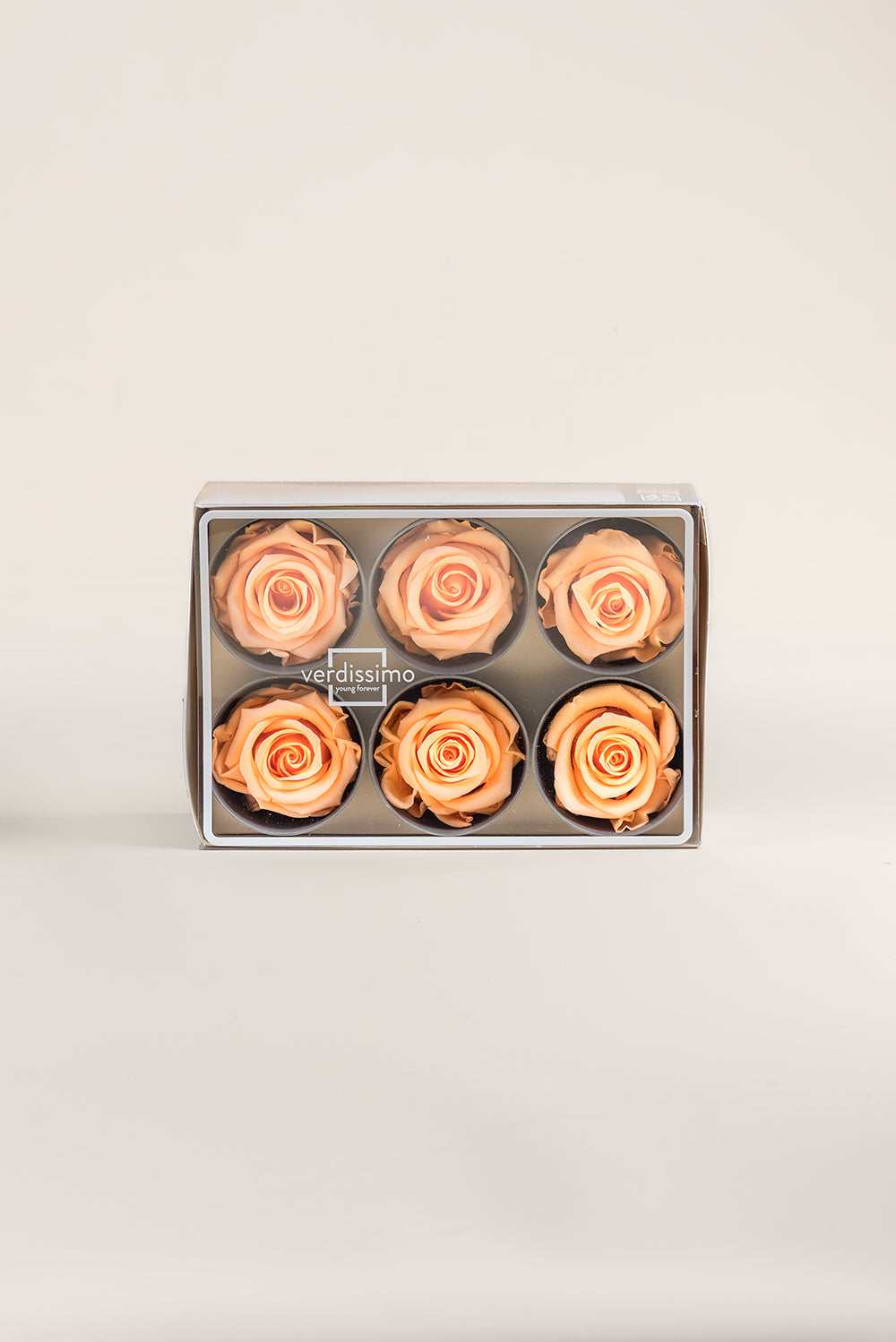 Rose Standard - Box 6 heads