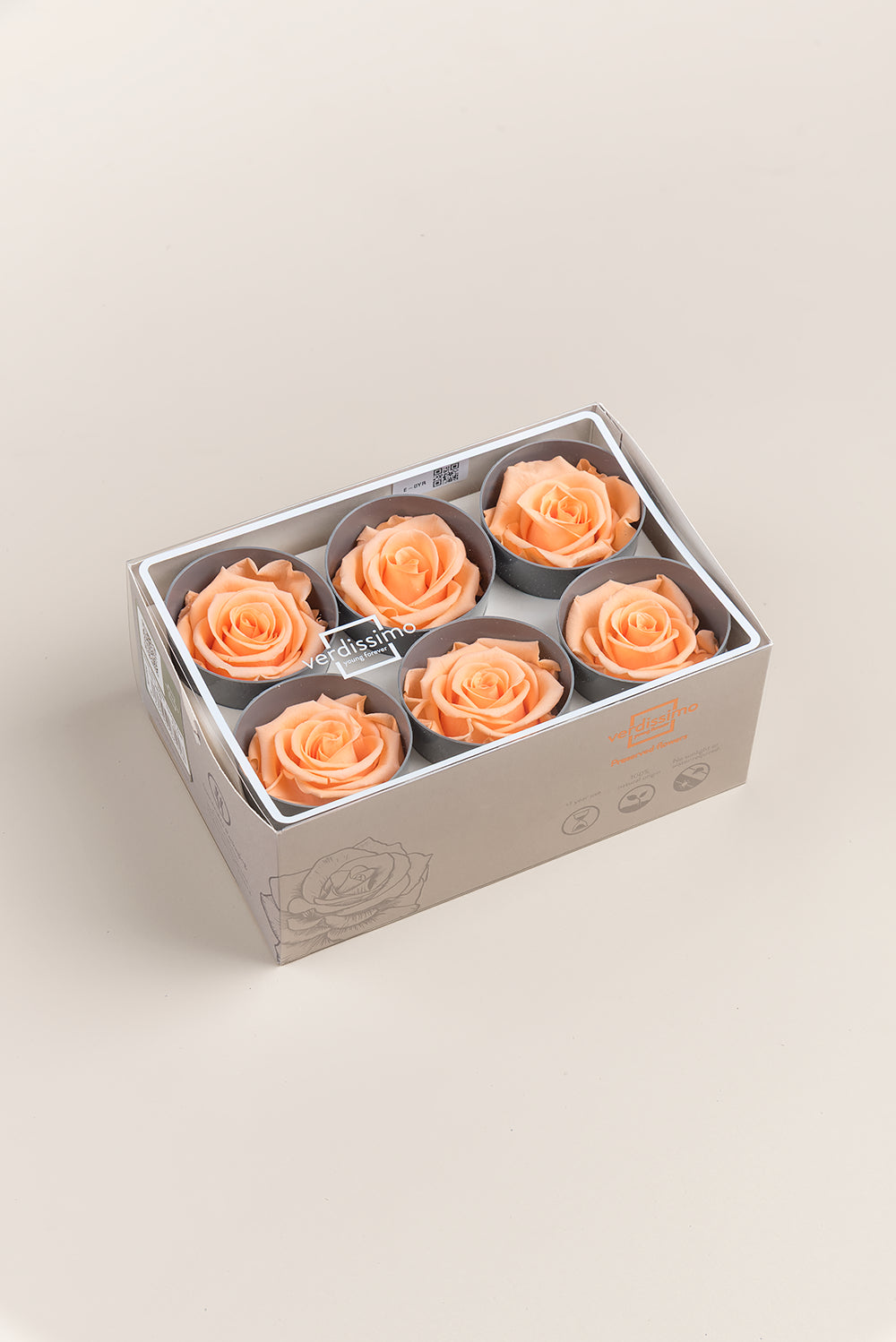 Rose Standard - Box 6 heads