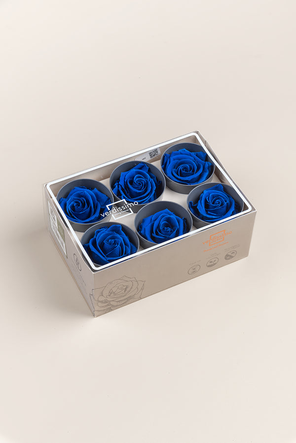 Rose Standard - Box 6 heads