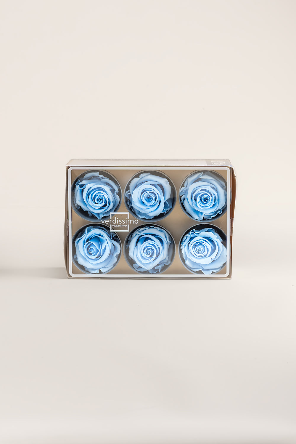 Rose Standard - Box 6 heads