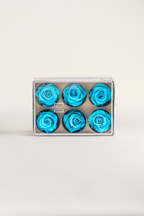 Rose Standard - Box 6 heads