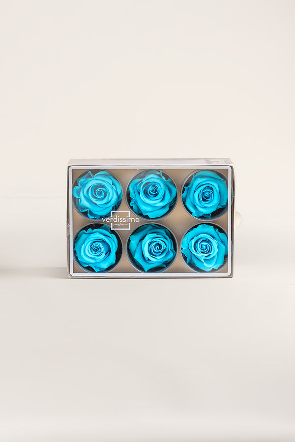 Rose Standard - Box 6 heads