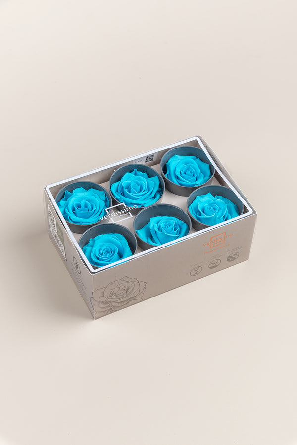Rose Standard - Box 6 heads