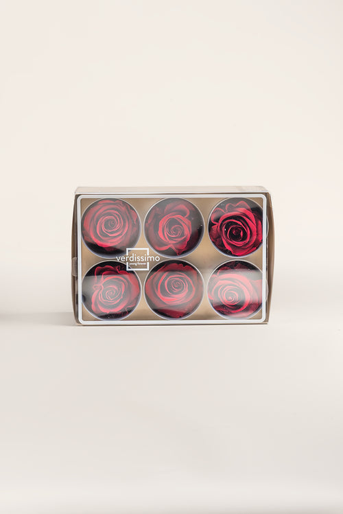 Rose Standard - Box 6 heads