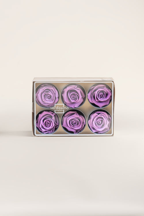Rose Standard - Boîte 6 têtes