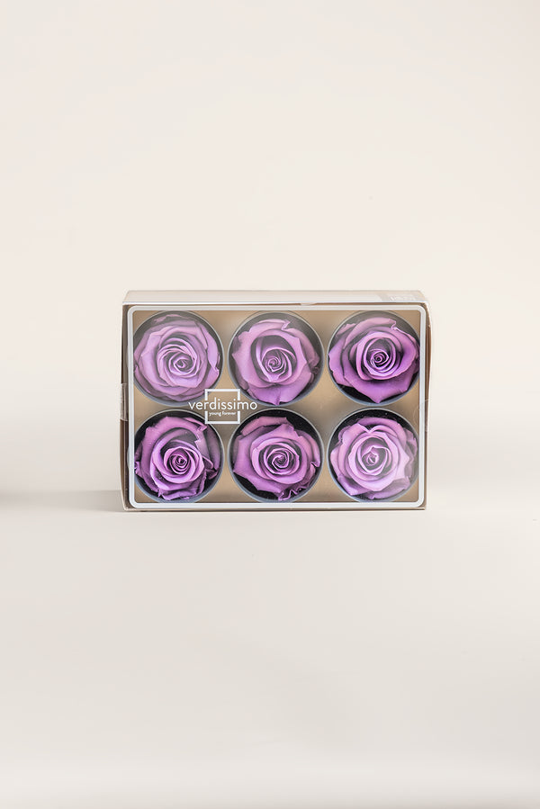 Rose Standard - Box 6 heads