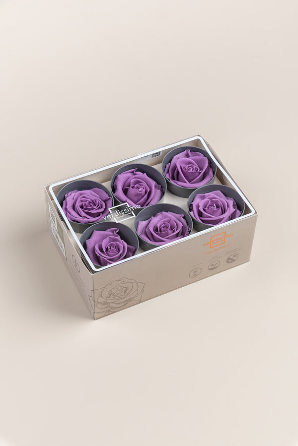 Rose Standard - Box 6 heads