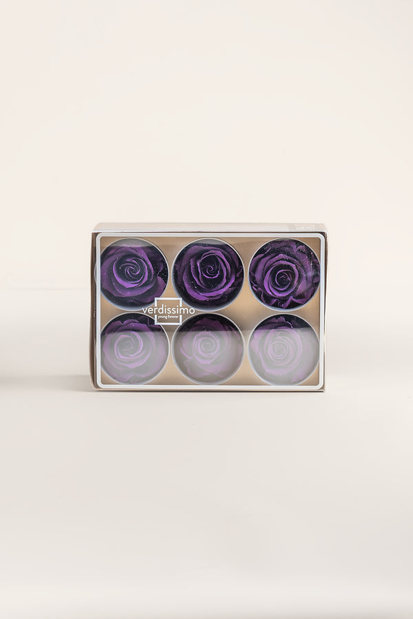 Rose Standard - Box 6 heads