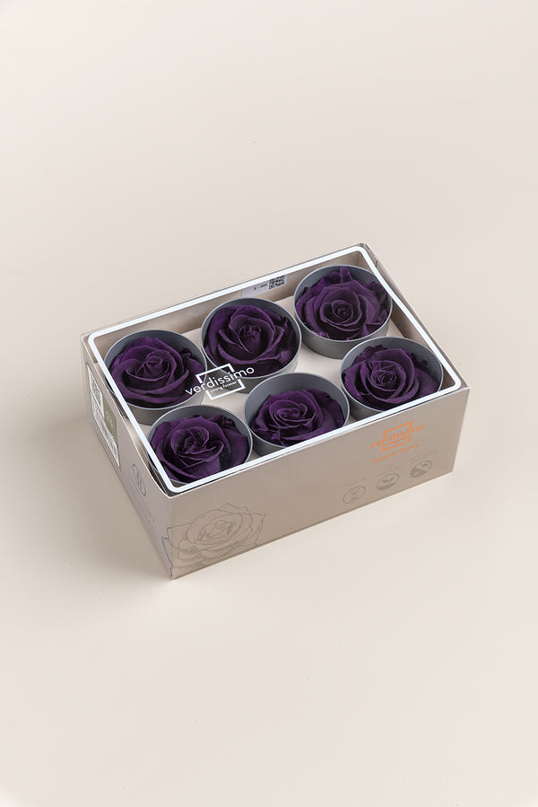 Rose Standard - Box 6 heads