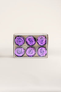 Bright Lilac