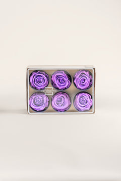 Bright Lilac