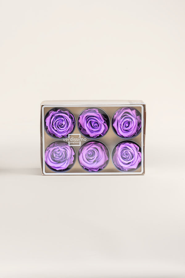 Rose Standard - Box 6 heads