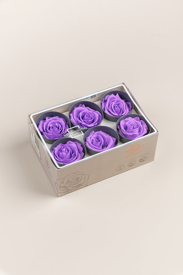 Rose Standard - Box 6 heads
