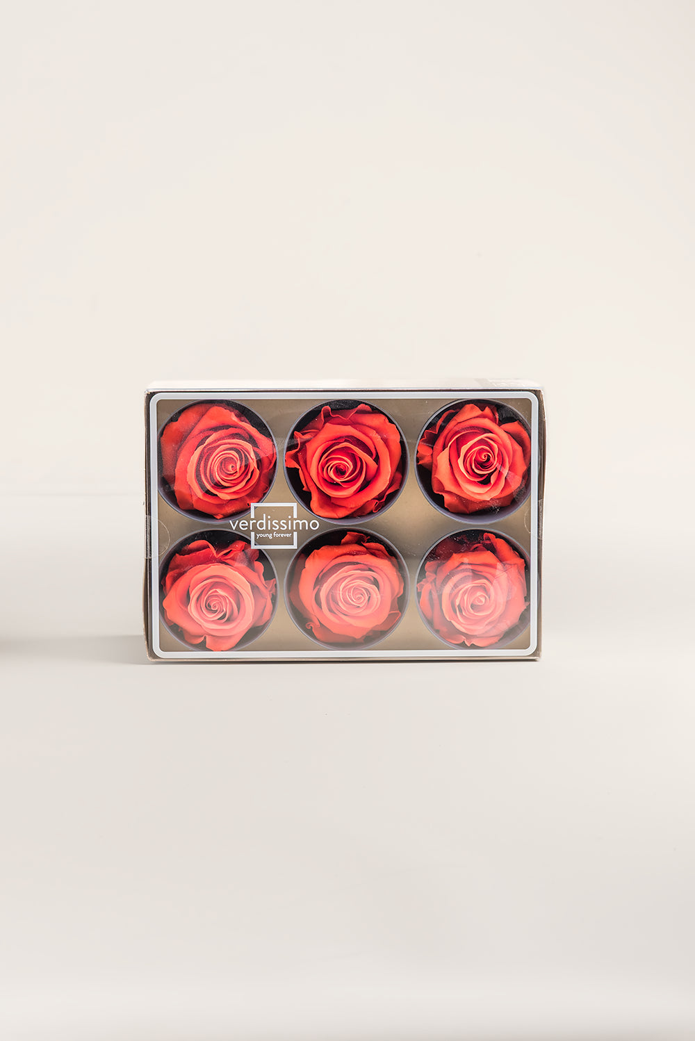 Rose Standard - Box 6 heads