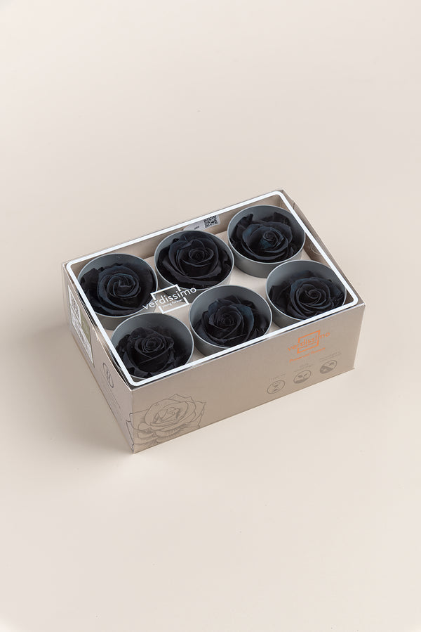 Rose Standard - Box 6 heads