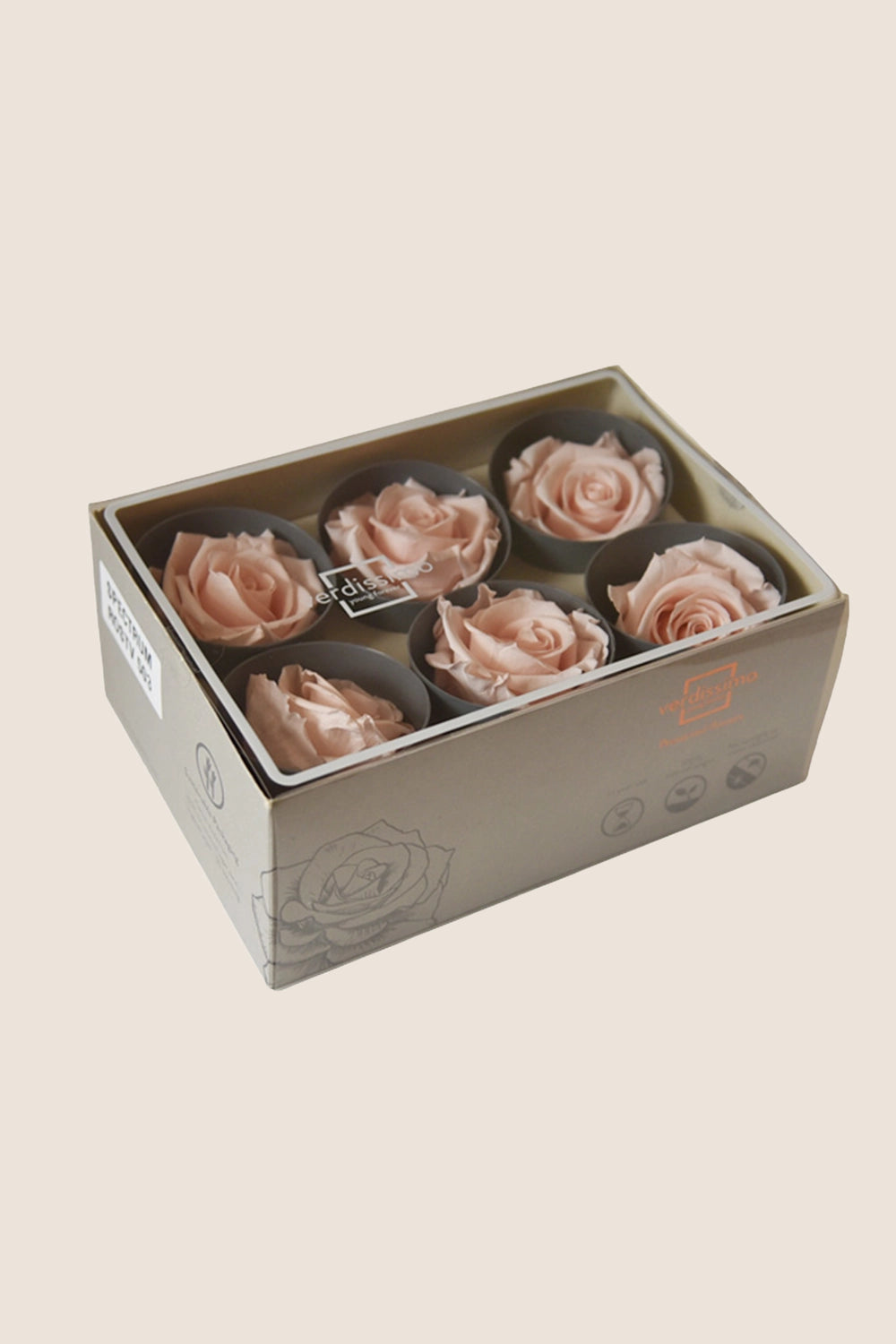 Rose Standard - Box 6 heads