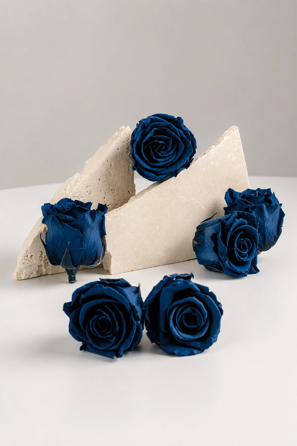 Rose Standard - Box 6 heads