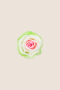 White / Pastel Pink / Pastel Green