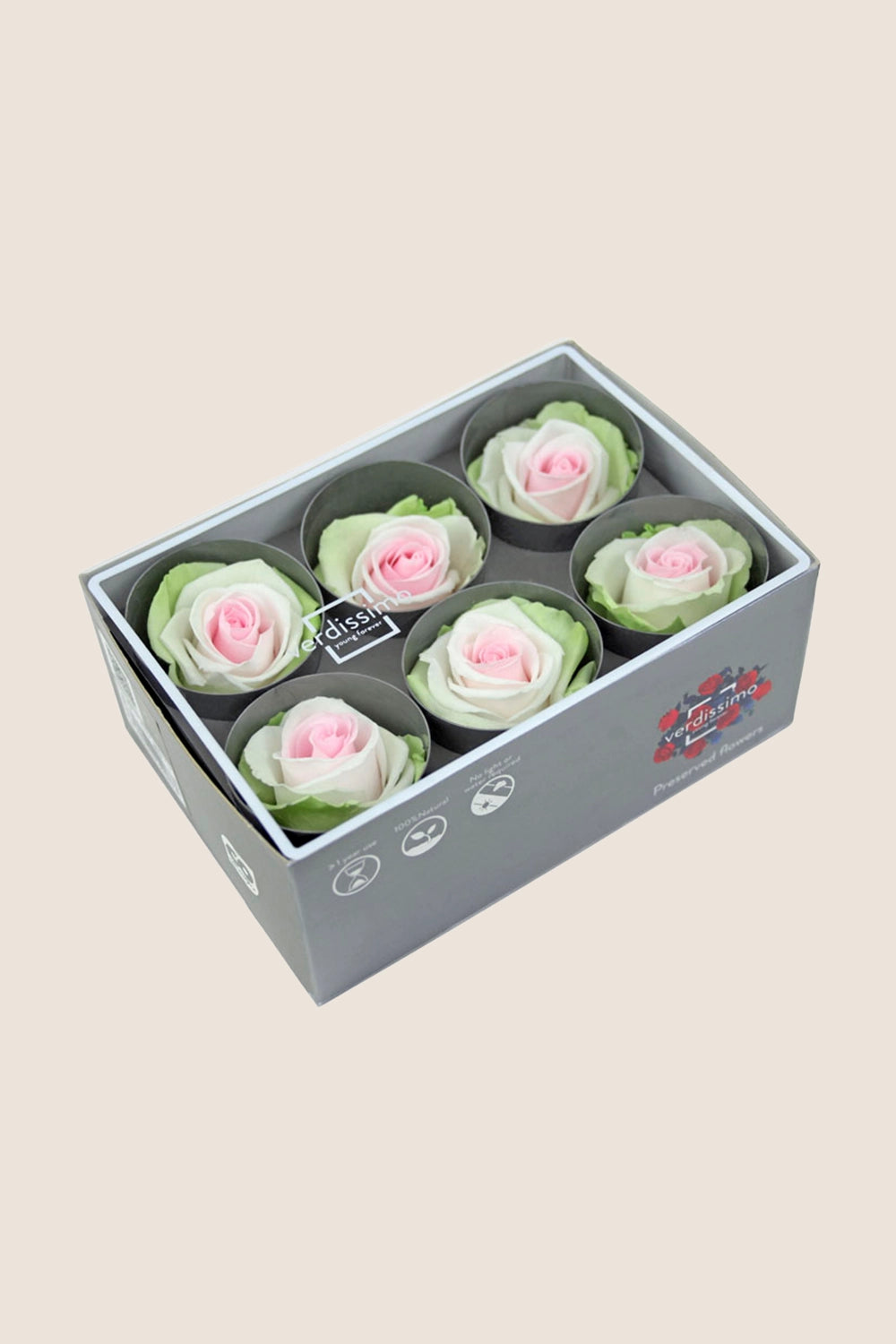 Rose Standard - Box 6 heads