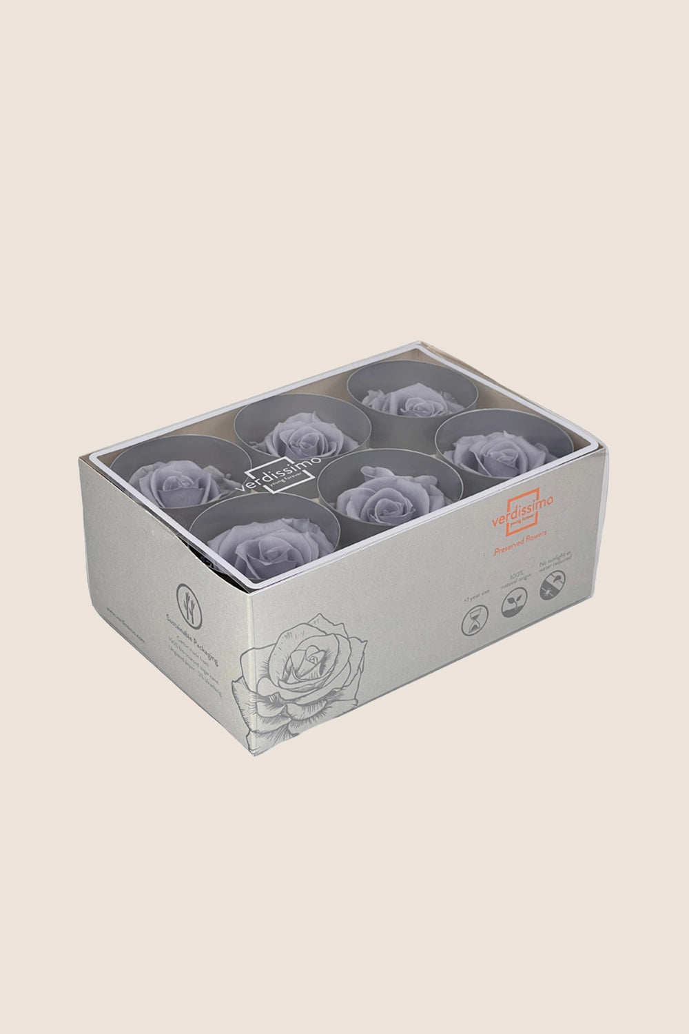 Rose Standard - Box 6 heads