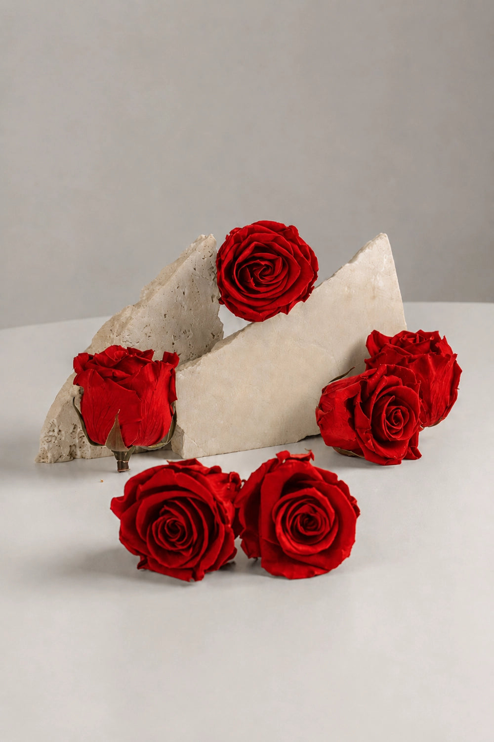 Rose Standard - Box 6 heads