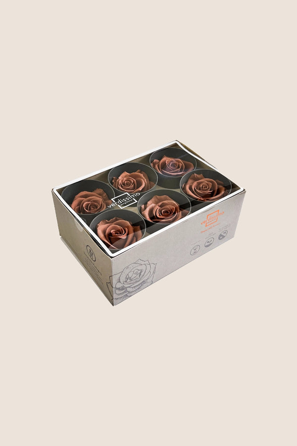 Rose Standard - Box 6 heads